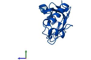 AlphaFold protein structure predicition of Human Recombinant UBE2D3 Protein, UniprotID P61077