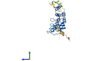 AlphaFold protein structure predicition of Human Recombinant ANKRD49 Protein, UniprotID Q8WVL7