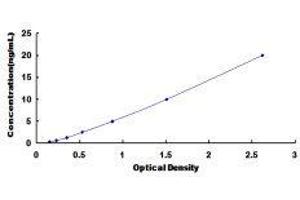 Tryptophan Hydroxylase 1 (TPH1) ELISA Kit