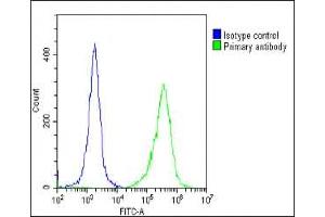 Overlay histogram showing HeLa cells stained with A(green line).
