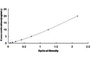 Typical standard curve (PDIA4 Kit ELISA)