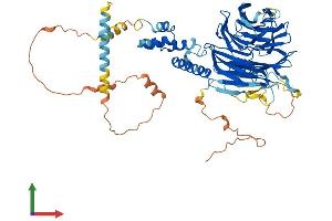AlphaFold protein structure predicition of Mouse Recombinant Fbxw8 Protein, UniprotID Q8BIA4