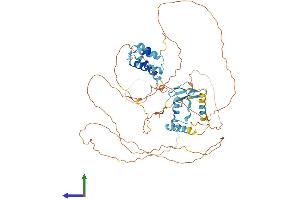 AlphaFold protein structure predicition of Human Recombinant MED26 Protein, UniprotID O95402