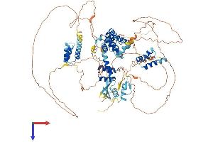 AlphaFold protein structure predicition of Human Recombinant ZHX1 Protein, UniprotID Q9UKY1