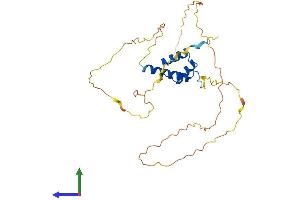 AlphaFold protein structure predicition of Mouse Recombinant Dlx3 Protein, UniprotID Q64205