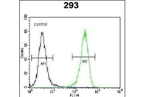 AQP11 Antibody (C-term) (ABIN651990 and ABIN2840484) flow cytometric analysis of 293 cells (right histogram) compared to a negative control cell (left histogram). (AQP11 anticorps  (C-Term))