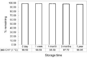 Stable percentage of reconstituted B-CHP stored at 4°C.