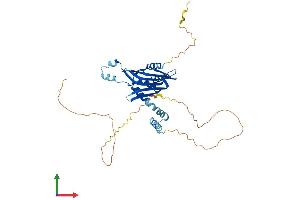 AlphaFold protein structure predicition of Mouse Recombinant Ldb2 Protein, UniprotID O55203