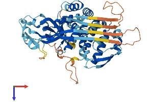 AlphaFold protein structure predicition of Mouse Recombinant Gsdmc Protein, UniprotID Q99NB5