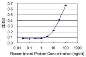 Detection limit for recombinant GST tagged RBKS is 1 ng/ml as a capture antibody.