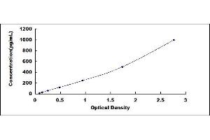 Typical standard curve (MMP7 Kit ELISA)