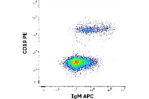 Flow cytometry multicolor surface staining of human lymphocytes stained using anti-human IgM (CH2) APC antibody (concentration in sample 0,6 μg/mL) and anti-human CD19 (LT19) PE antibody (20 μL reagent / 100 μL of peripheral whole blood). (Souris anti-Humain IgM Anticorps (APC))