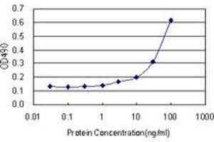 Sandwich ELISA detection sensitivity ranging from 1 ng/mL to 100 ng/mL. (GRIN2C (Humain) Matched Antibody Pair)
