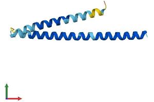 AlphaFold protein structure predicition of Mouse Recombinant Ccdc167 Protein, UniprotID Q9D162