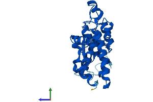 AlphaFold protein structure predicition of Human Recombinant CLIC3 Protein, UniprotID O95833