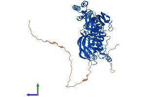 AlphaFold protein structure predicition of Mouse Recombinant Btbd9 Protein, UniprotID Q8C726