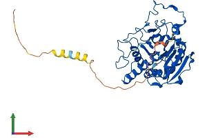 AlphaFold protein structure predicition of Human Recombinant ABO Protein, UniprotID P16442