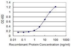 Detection limit for recombinant GST tagged SEC14L2 is 0. (SEC14L2 anticorps  (AA 101-199))