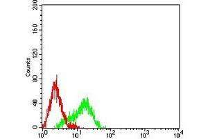 Flow cytometric analysis of HL-60 cells using NAGR1 mouse mAb (green) and negative control (red).
