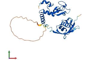 AlphaFold protein structure predicition of Human Recombinant PCGF3 Protein, UniprotID Q3KNV8