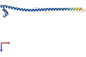 AlphaFold protein structure predicition of Human Recombinant DYDC1 Protein, UniprotID Q8WWB3