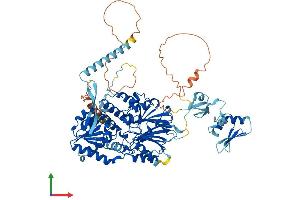 AlphaFold protein structure predicition of Mouse Recombinant Cpsf2 Protein, UniprotID O35218