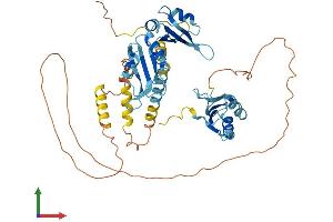 AlphaFold protein structure predicition of Human Recombinant CELF1 Protein, UniprotID Q92879