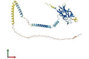 AlphaFold protein structure predicition of Human Recombinant SUN5 Protein, UniprotID Q8TC36