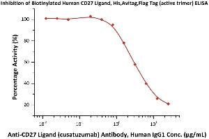 Serial dilutions of A Ligand (cusatuzumab) Antibody, Human IgG1 were added into Human CD27, Fc Tag (ABIN2180735,ABIN2180734) : Biotinylated Human CD27 Ligand, His,Avitag,Flag Tag (active trimer) (MALS verified) (ABIN6951035,ABIN6952257) binding reactions.