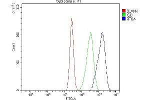 anti-RNA terminal Phosphate Cyclase Domain 1 (RTCD1) (AA 18-366) antibody