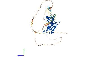 AlphaFold protein structure predicition of Mouse Recombinant Rexo4 Protein, UniprotID Q6PAQ4