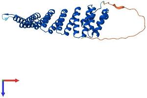 AlphaFold protein structure predicition of Mouse Recombinant Napg Protein, UniprotID Q9CWZ7