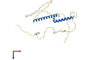 AlphaFold protein structure predicition of Mouse Recombinant Neurog2 Protein, UniprotID P70447