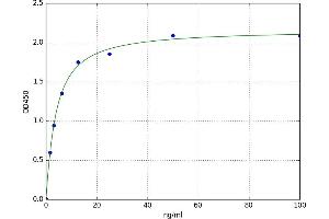 Annexin A2 (ANXA2) ELISA Kit