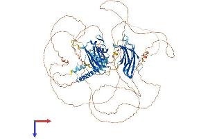 AlphaFold protein structure predicition of Mouse Recombinant Sytl2 Protein, UniprotID Q99N50