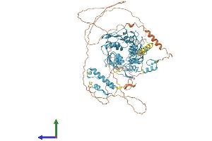 AlphaFold protein structure predicition of Human Recombinant ZNF786 Protein, UniprotID Q8N393