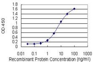 Detection limit for recombinant GST tagged LBX1 is 0.