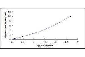 Typical standard curve (Histone H4 Kit ELISA)