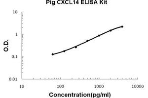 Pig CXCL14 PicoKine ELISA Kit standard curve (CXCL14 Kit ELISA)