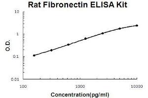 Rat Fibronectin PicoKine ELISA Kit standard curve