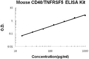 Mouse CD40/TNFRSF5 PicoKine ELISA Kit standard curve (CD40 Kit ELISA)