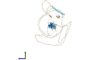 AlphaFold protein structure predicition of Human Recombinant LIMD1 Protein, UniprotID Q9UGP4