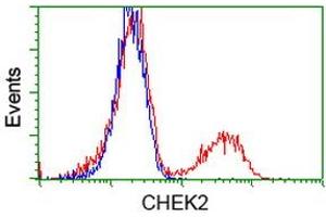 Flow Cytometry (FACS) image for anti-Checkpoint Kinase 2 (CHEK2) antibody (ABIN1497500) (CHEK2 anticorps)