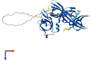 AlphaFold protein structure predicition of Mouse Recombinant Ifi202 Protein, UniprotID Q9R002