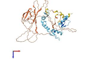 AlphaFold protein structure predicition of Mouse Recombinant Yy1 Protein, UniprotID Q00899