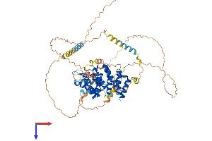AlphaFold protein structure predicition of Mouse Recombinant Ctif Protein, UniprotID Q6PEE2