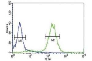 Anti-PCSK9 antibody flow cytometric analysis of HeLa cells (right histogram) compared to a negative control (left histogram). (PCSK9 anticorps  (AA 479-508))