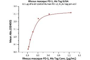 Immobilized Biotinylated Human PD-L2, Fc,Avitag (ABIN2870562,ABIN2870563) at 1 μg/mL (100 μL/well) on streptavidin  precoated (0.