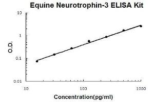 Horse equine Neurotrophin-3 PicoKine ELISA Kit standard curve (Neurotrophin 3 Kit ELISA)