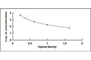 beta-Crosslaps (bCTx) ELISA Kit